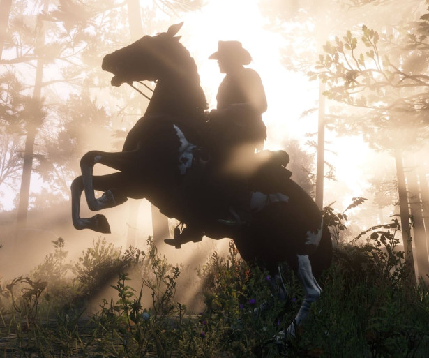  Red Dead Redemption 2 Best Horses