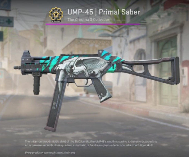 CS2 Best UMP Skin